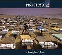 Pink Floyd - A Momentary Lapse of Reason CD