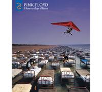 Pink Floyd A Momentary Lapse Of Reason [Deluxe (CD)