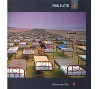 Pink Floyd - A momentary Lapse of Reason [Import]