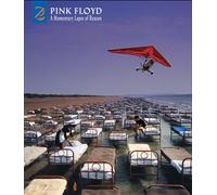 Pink Floyd - A Momentary Lapse Of Reason: Remixed & Updated [Deluxe Cd/Dvd] [Compact Discs] With Booklet, With Dvd, Boxed Set, Stickers