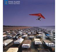 Pink Floyd A Momentary Lapse of Reason: Remixed & Updated (Vinyl) 12" Album