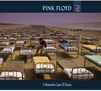 A Momentary Lapse of Reason