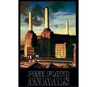 Pink Floyd - Animals - 30x40cm - AFFICHE