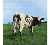 Pink Floyd - Atom Heart Mother - 12" Print Cover - 31x31cm - Affiche Poster G
