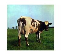 Pink Floyd - Atom Heart Mother (FOC) [Vinyl LP record] [Schallplatte]