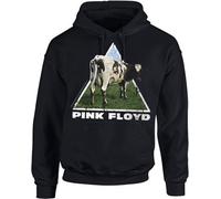 Pink Floyd - Atom Heart Sweat à capuche