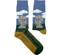 Pink Floyd - Chaussettes "Division Bell" pour homme/femme unie PH4273 (37 EU - 40,5 EU) (Coloré)