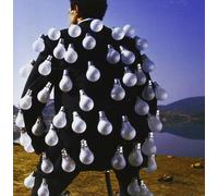 The delicate sound of thunder