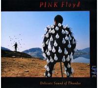 Pink Floyd - Delicate Sound Of Thunder (LP)