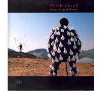 Pink Floyd - Delicate Sound of Thunder [Import]