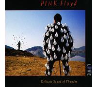 Pink Floyd. Delicate Sound Of Thunder: Live. 2 CDs.