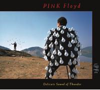 Pink Floyd – Delicate Sound Of Thunder (Live) – CD Digipack – Legacy