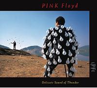 PINK FLOYD - DELICATE SOUND OF THUNDER LP (VINYL ALBUM) UK EMI 1988