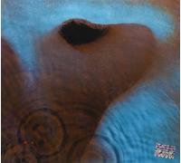 Pink Floyd - Meddle [Dversion] [Import]