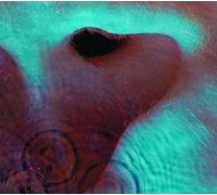 Meddle – Sony Music