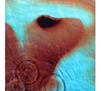 Meddle