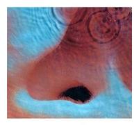 PINK FLOYD - MEDDLE (REMASTERED) CD POP 6 TRACKS NEW