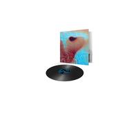 Pink Floyd - Meddle - Version 2016
