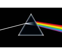 Pink Floyd - Poster "Dark Side Of The Moon", Stoff RO2548 (106 cm x 70 cm) (Schwarz/Regenbogen)