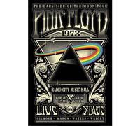 Pink Floyd - Poster "Dark Side Of The Moon" TA9389 (Taille unique) (Noir/Argent)