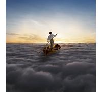The Endless River
