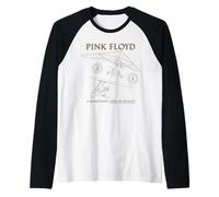 Pink Floyd : Une Perte de Raison momentanée | Machines Volantes Manche Raglan