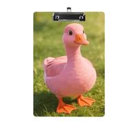 Pink Goose Porte-bloc en acrylique format A4 avec clip profilé en métal, support de dossier suspendu pour enseignant, travailleur social, fournitures de bureau, 21,6 x 31,8 cm