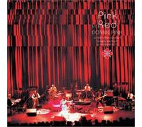 Pink in Red~Bonnie Pink LIVE 2003”Tonight,THE Night”at AKASAKA BLITZ”~