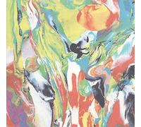 PINK LINT - YOU MIGHT LOSE A FEW TEETH BUT IT'S FUN VINYL LP NEUF