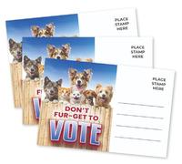 Pink Pixie Studio Lot de 100 cartes postales pour les électeurs ne pas oublier de voter politiques en vrac 10,2 x 15,2 cm Dos vierge sans bavure pour envoyer un message pour encourager le vote