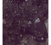 Pinkish Black - Razed to the Ground
