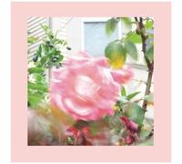 Pinks And Purples Reds - Summer At Land's End [Cd]