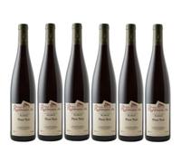 Pinot noir 2023 - Alsace rouge fruité 12% - Gilbert RUHLMANN Fils - 6 x 75cl.