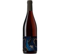 Pinot Noir - Maison Auzias