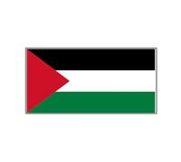 Pin's accrocheur avec carte de la Palestine - Petites broches - Bijoux commémoratifs - Cadeau commémoratif, taille unique, Comme décrit