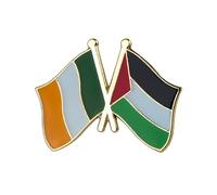 Pin's drapeau national de l'amitié Irlande et Palestine - Broche en métal émaillé pour veste, sac à dos ou chapeau - Symbole de solidarité internationale - 2,4 x 1,9 cm