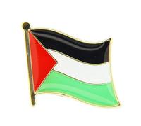Pin's National Palestine Drapeau Carte de Territoire Pins Symbole National Drapeau du Monde Broche Alliage Palestine Badge Drapeau Broche