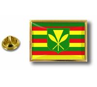 Pins Pin Badge Pin's Metal Epoxy Avec Pince Papillon Drapeau Hawaii Kanaka Maoli