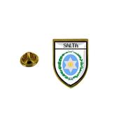 Pins Pin Badge Pin's Souvenir Ville Drapeau Pays Blason Argentine Salta