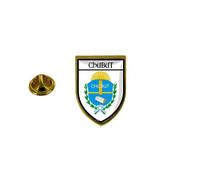 Pins Pin Badge Pin's Souvenir Ville Drapeau Pays Blason Chubut Argentine