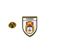 Pins Pin Badge Pin's Souvenir Ville Drapeau Pays Blason Gyumri Armenie