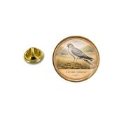 Pins pin's badge broche oiseau Busard Saint-Martin Circus cyaneus