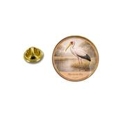 Pins pin's badge broche oiseau Cigogne à bec jaune Mycteria ibis