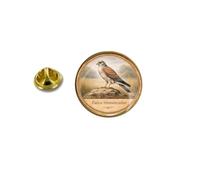 Pins pin's badge broche oiseau Faucon crécerelle Falco tinnunculus