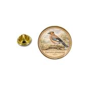 Pins pin's badge broche oiseau Geai des chênes Garrulus glandarius
