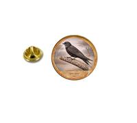 Pins pin's badge broche oiseau Martinet noir Apus apus