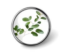 Pin's rond blanc naturel en forme de brindille en émail mignon broche bouton broche personnalisée vêtements décoration unisexe porte-badge chapeaux sacs chemises décoration