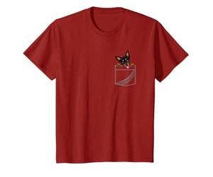 Pinscher miniature dans une poche T-Shirt