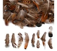 Pinsheng 200 Pièces Plumes Artisanales, 10 Styles Naturelles Plumes Faisan Plume Decoration Plumes Artificielle Mouchetées pour DIY Boucle d'oreille Ailes Dream Catcher Artisanat Mariage Maison