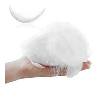 Pinsheng 300 PCS Plumes Blanches, 12-15cm Naturelles Plumes Décoration Plume Blanc pour Bricolage Capteurs de Rêves Chapeaux Costume Fête à la Maison Décorations Mariage